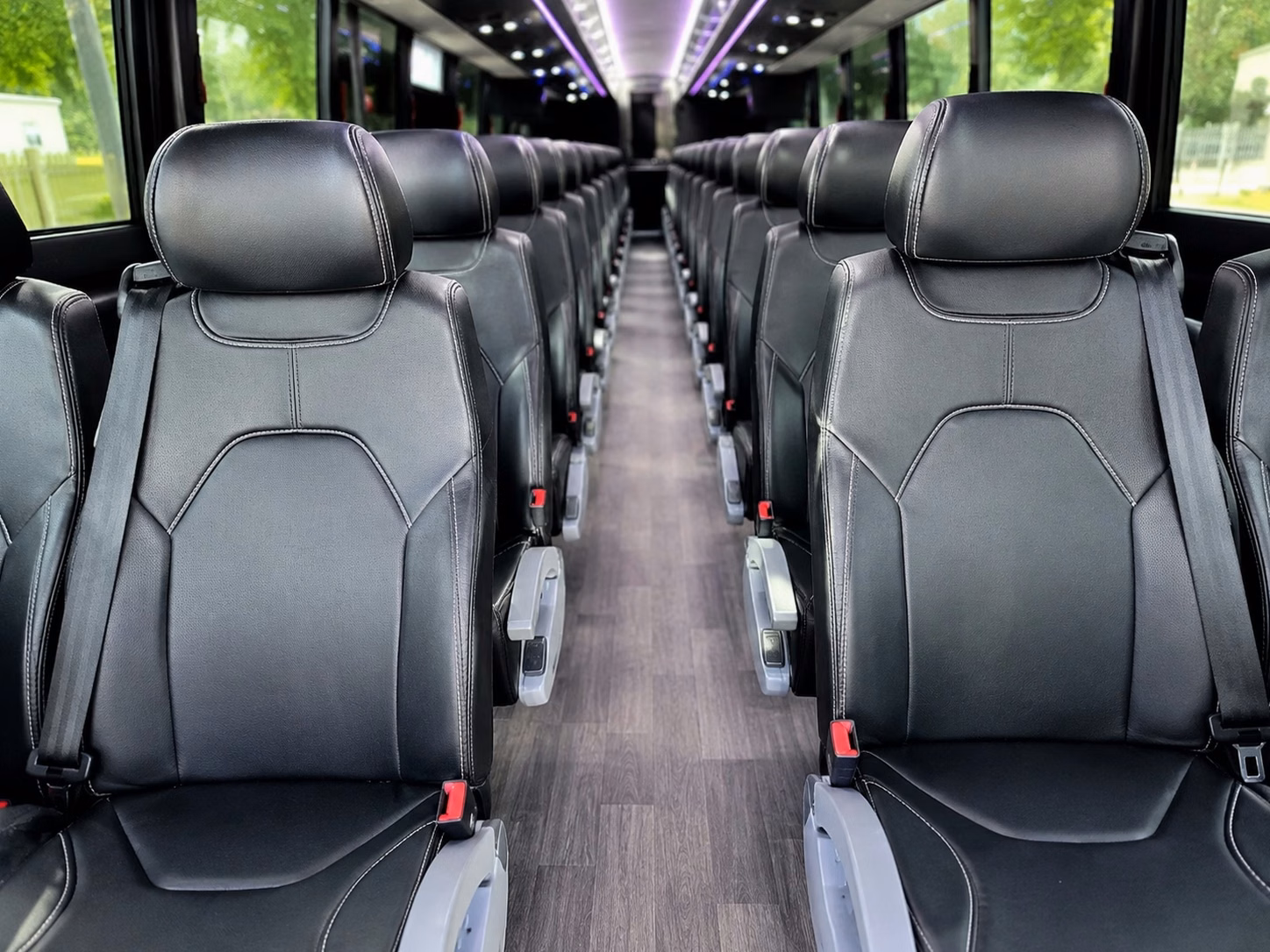 charter buses for jacksonville zoo and gardens field trips